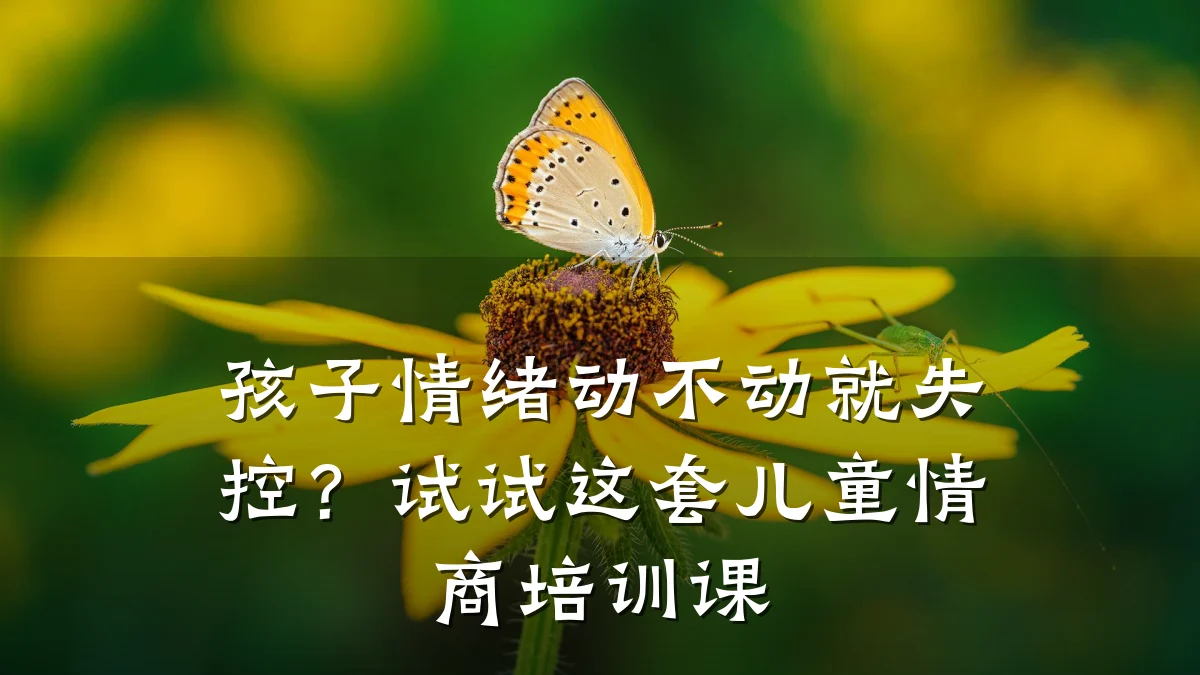 孩子情绪动不动就失控?试试这套儿童情商培训课