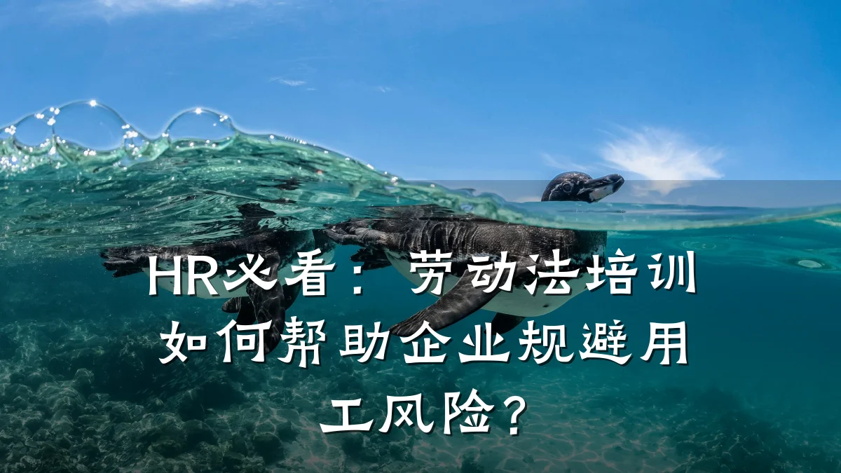 HR必看:劳动法培训如何帮助企业规避用工风险?