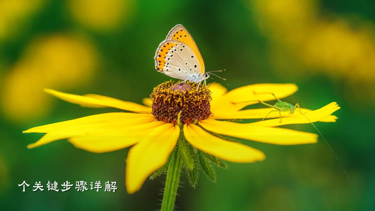 个关键步骤详解