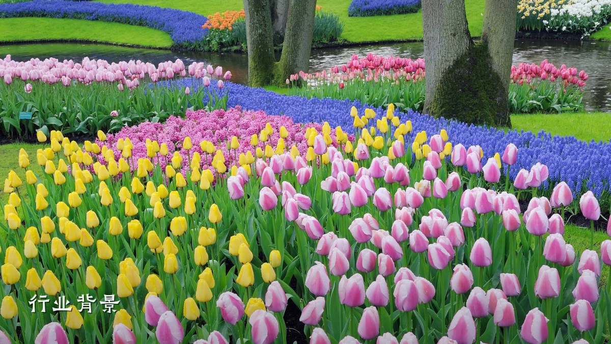 行业背景