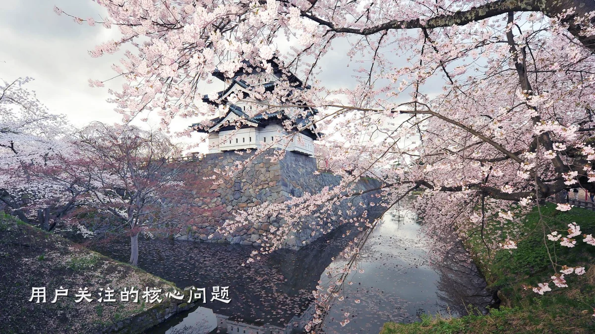 用户关注的核心问题