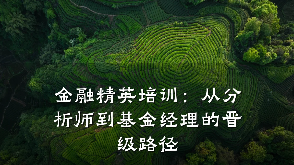 金融精英培训:从分析师到基金经理的晋级路径