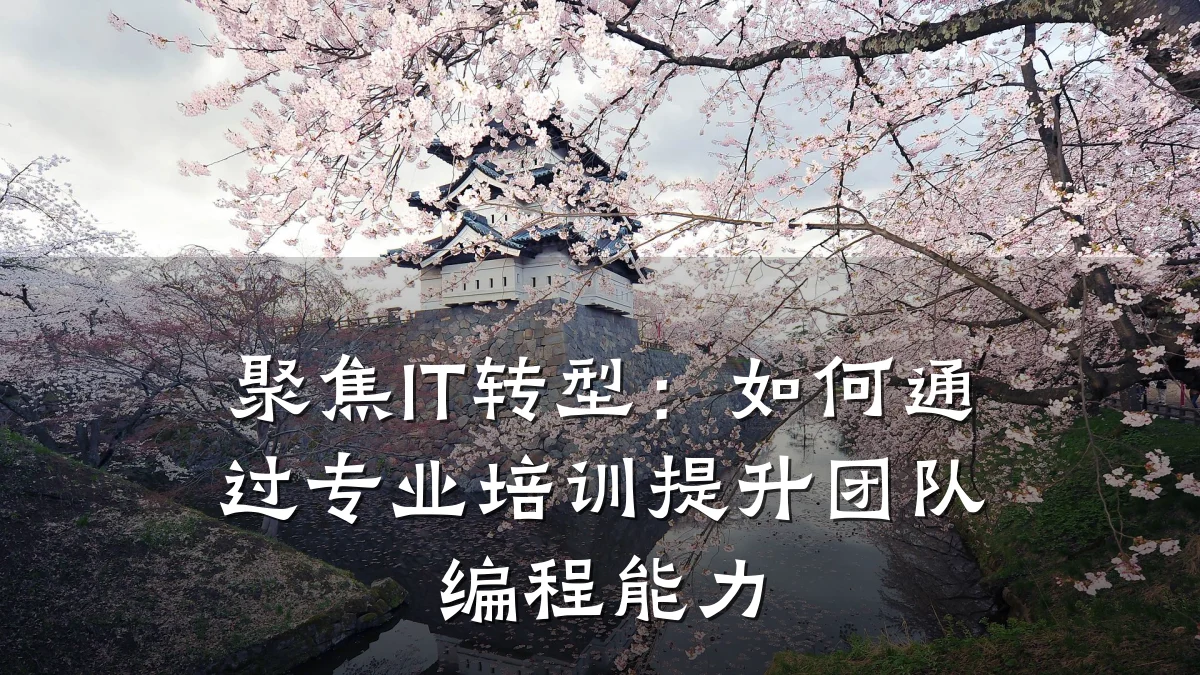 聚焦IT转型:如何通过专业培训提升团队编程能力