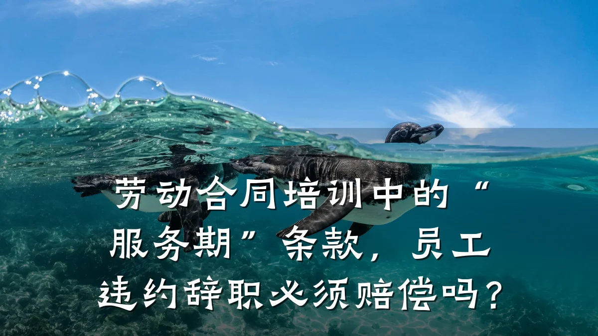 劳动合同培训中的“服务期”条款,员工违约辞职必须赔偿吗?