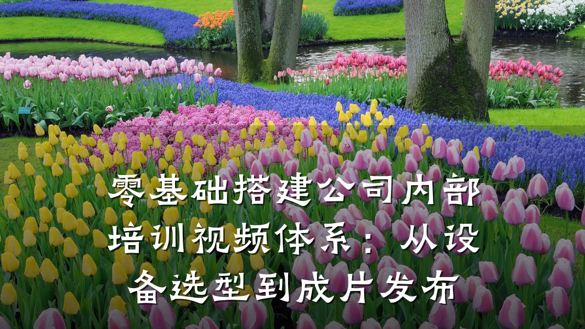 零基础搭建公司内部培训视频体系:从设备选型到成片发布