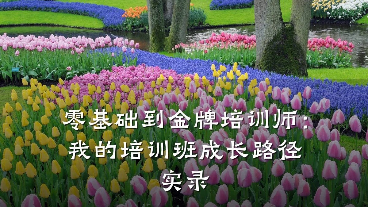 零基础到金牌培训师:我的培训班成长路径实录