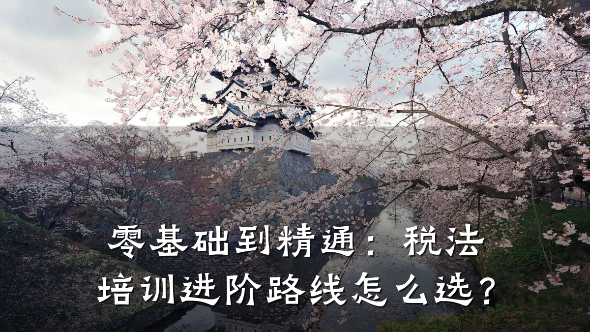零基础到精通:税法培训进阶路线怎么选?