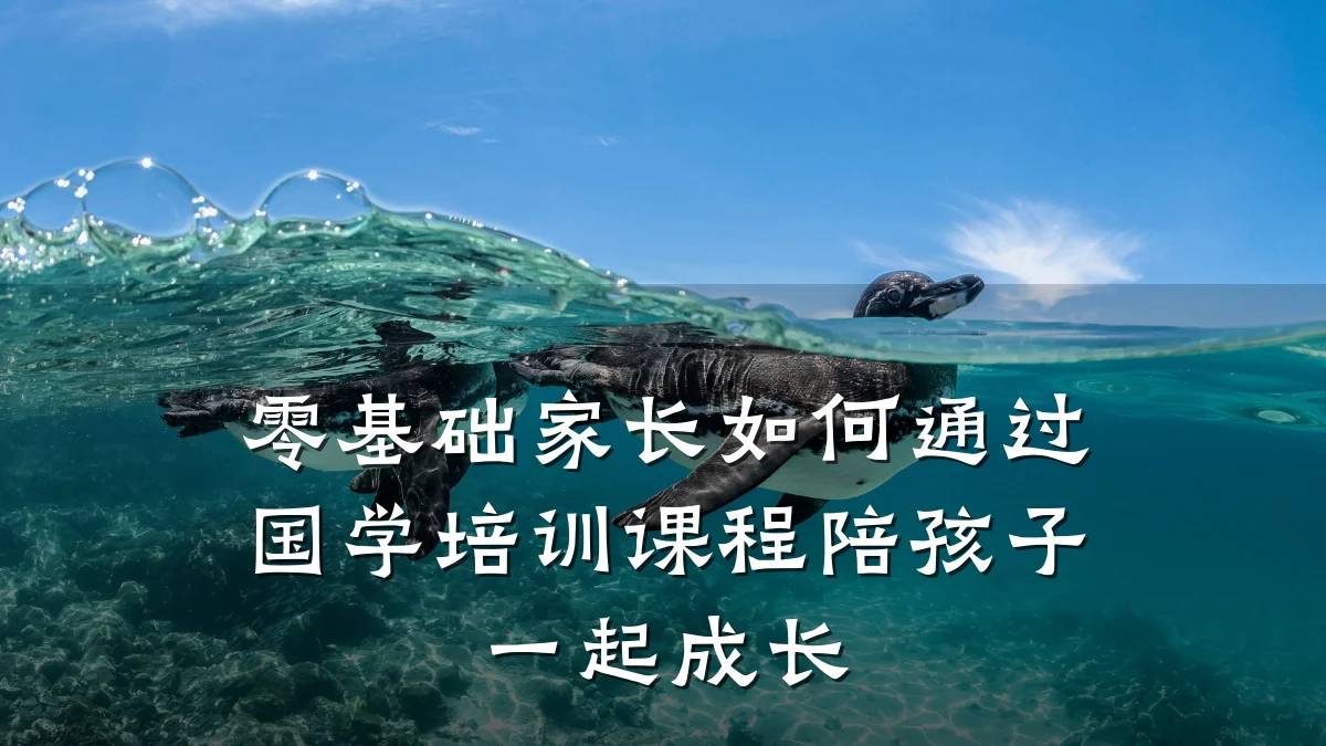 零基础家长如何通过国学培训课程陪孩子一起成长