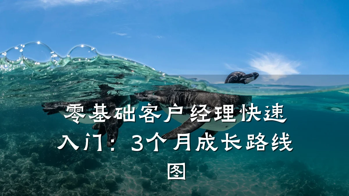 零基础客户经理快速入门:3个月成长路线图