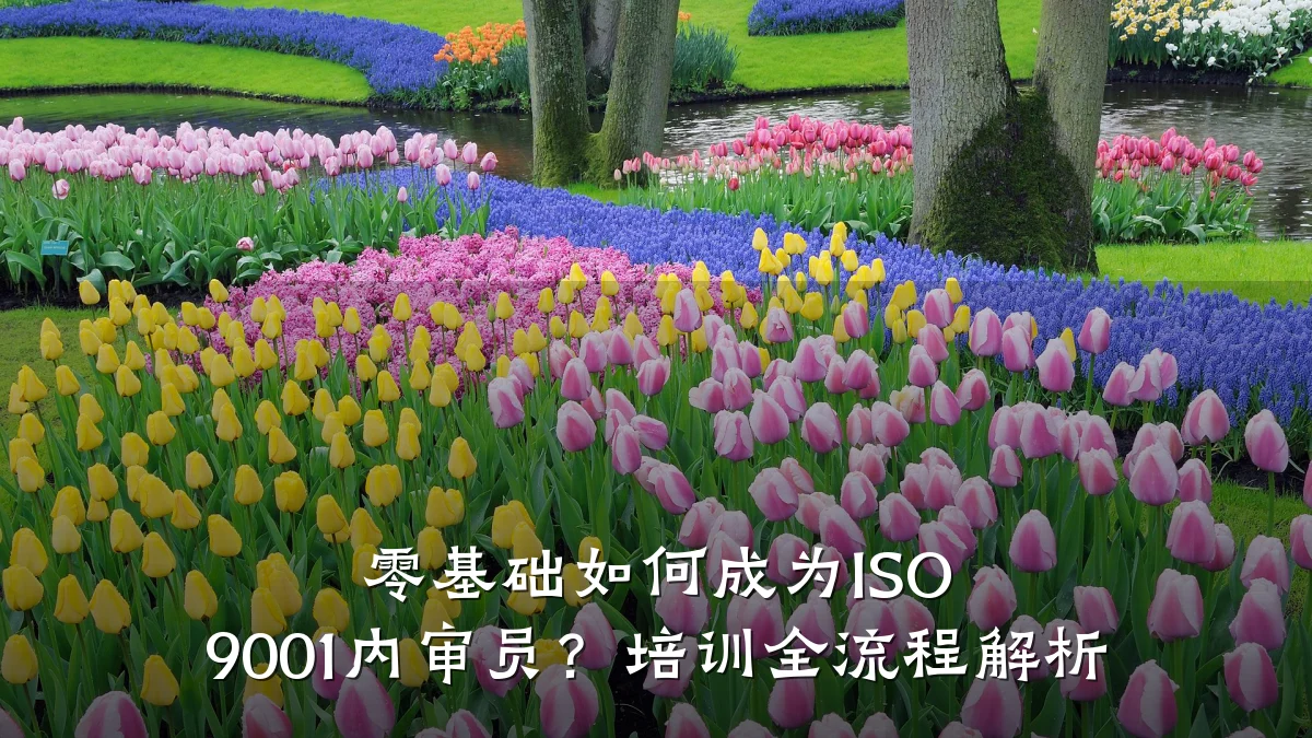 零基础如何成为ISO 9001内审员?培训全流程解析