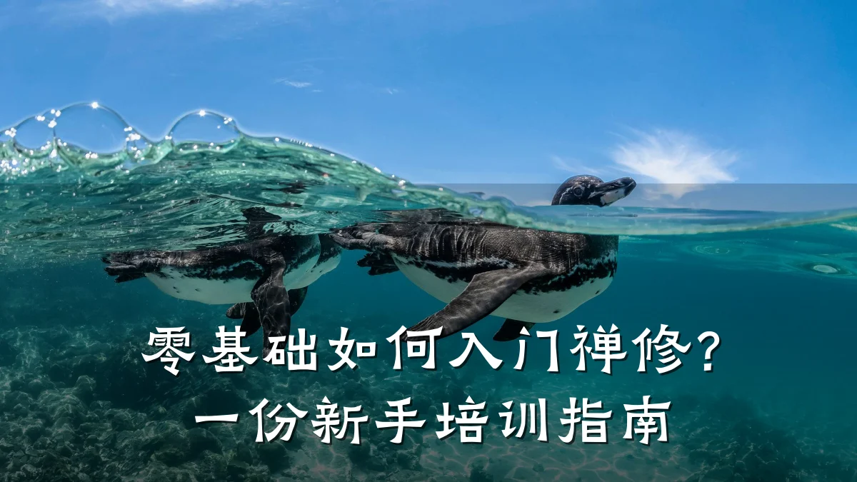零基础如何入门禅修？一份新手培训指南