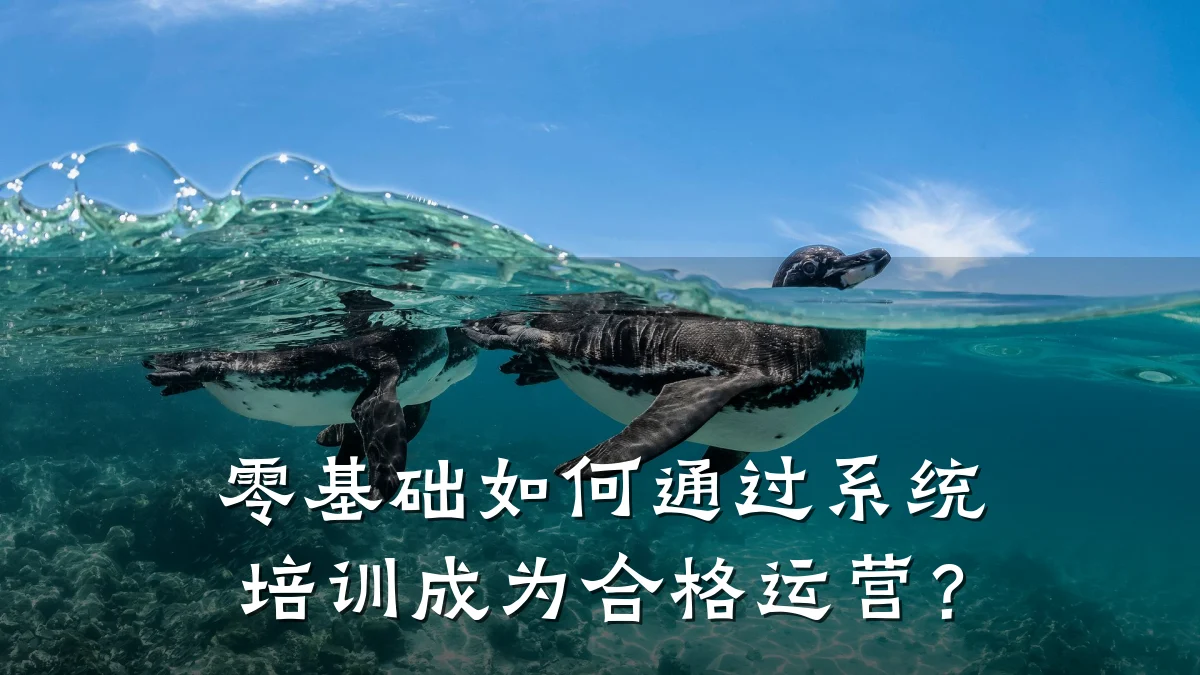 零基础如何通过系统培训成为合格运营?