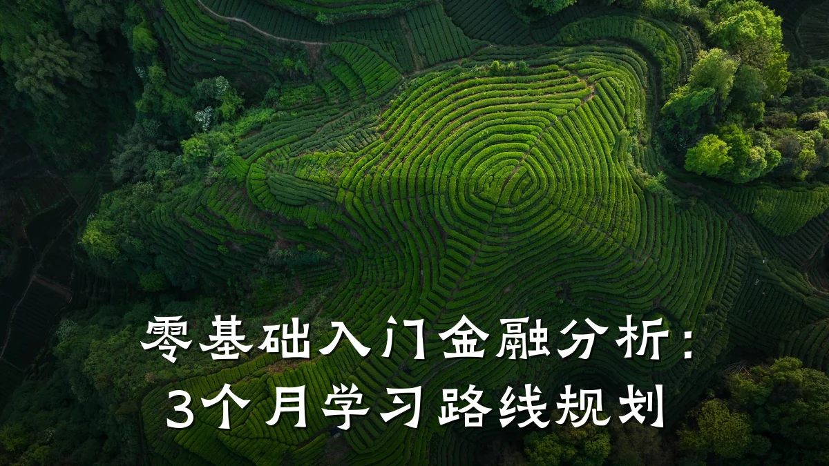 零基础入门金融分析:3个月学习路线规划