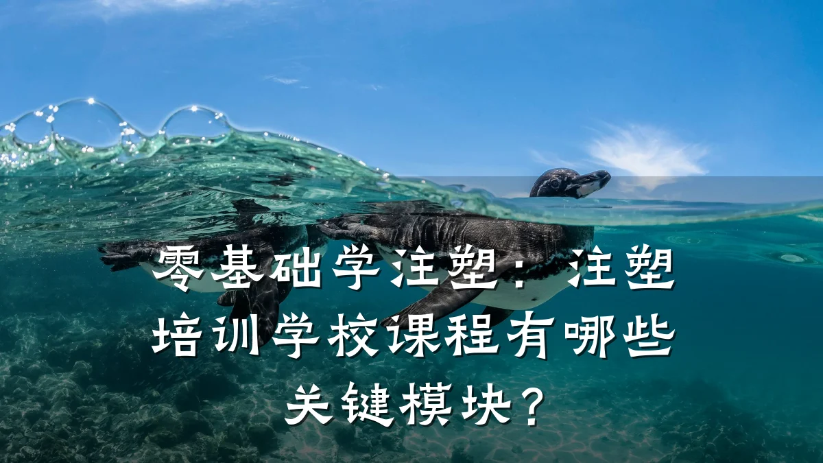 零基础学注塑:注塑培训学校课程有哪些关键模块?