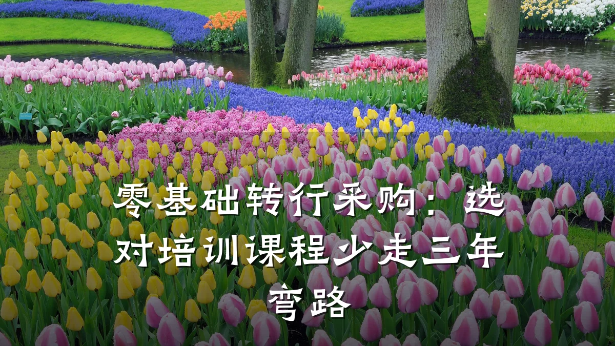 零基础转行采购:选对培训课程少走三年弯路