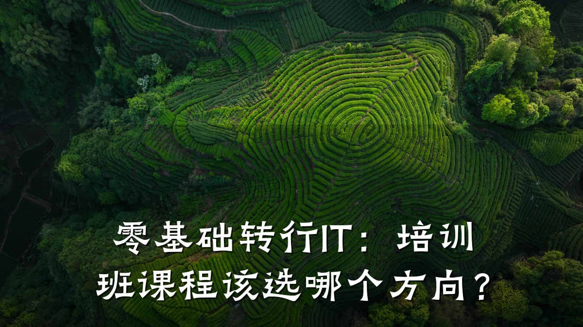 零基础转行IT:培训班课程该选哪个方向?
