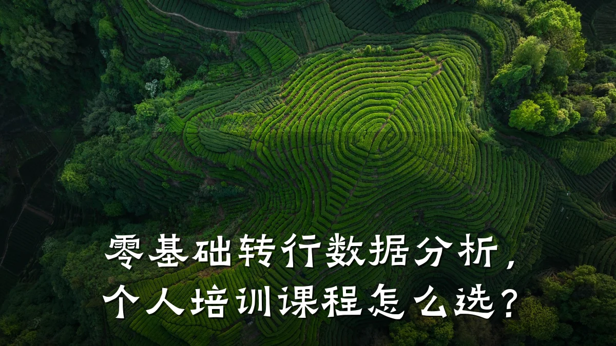 零基础转行数据分析,个人培训课程怎么选?