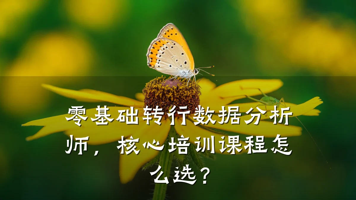 零基础转行数据分析师,核心培训课程怎么选?