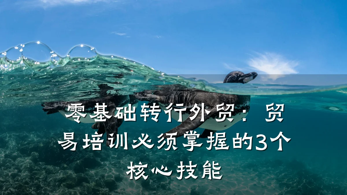零基础转行外贸:贸易培训必须掌握的3个核心技能