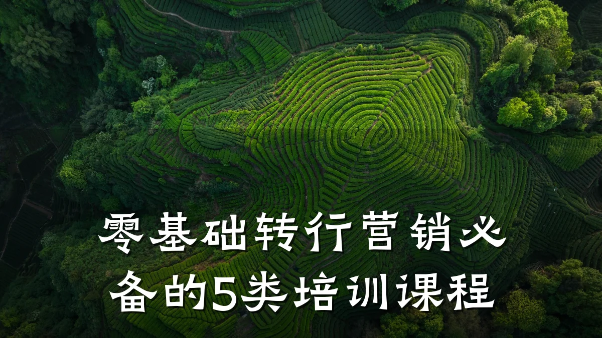 零基础转行营销必备的5类培训课程