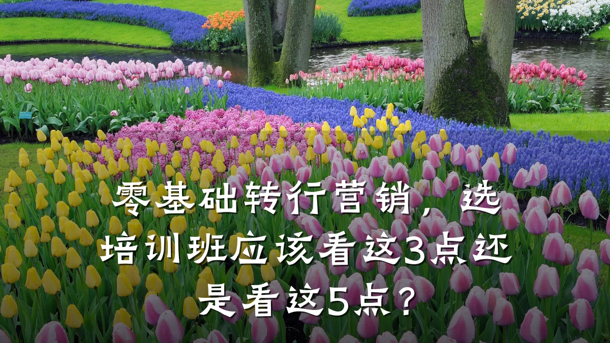 零基础转行营销,选培训班应该看这3点还是看这5点?