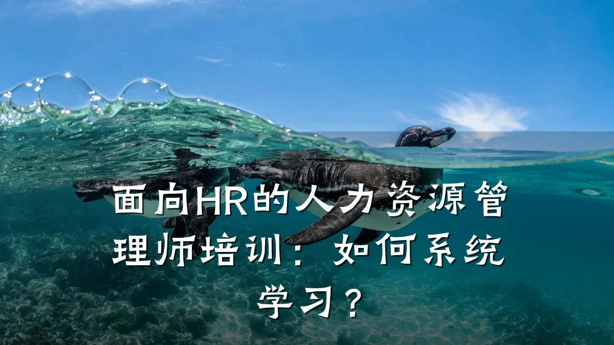 面向HR的人力资源管理师培训:如何系统学习?