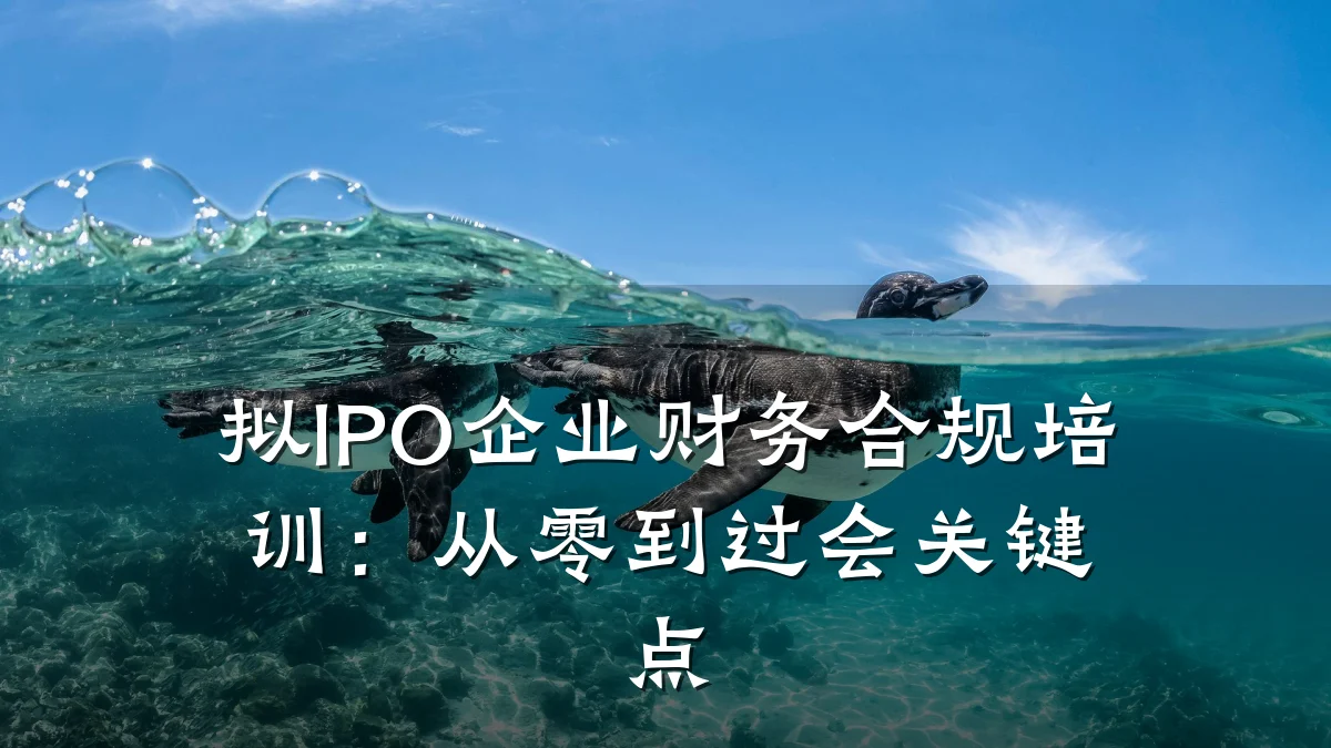 拟IPO企业财务合规培训:从零到过会关键点