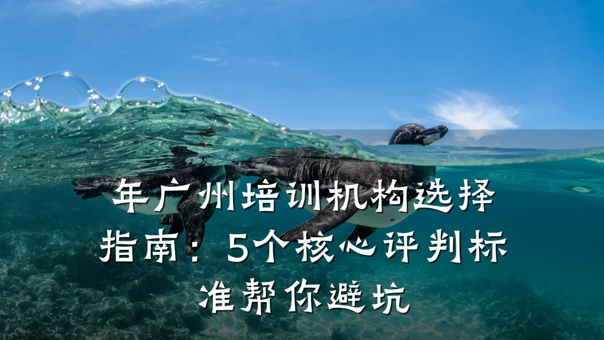 年广州培训机构选择指南:5个核心评判标准帮你避坑