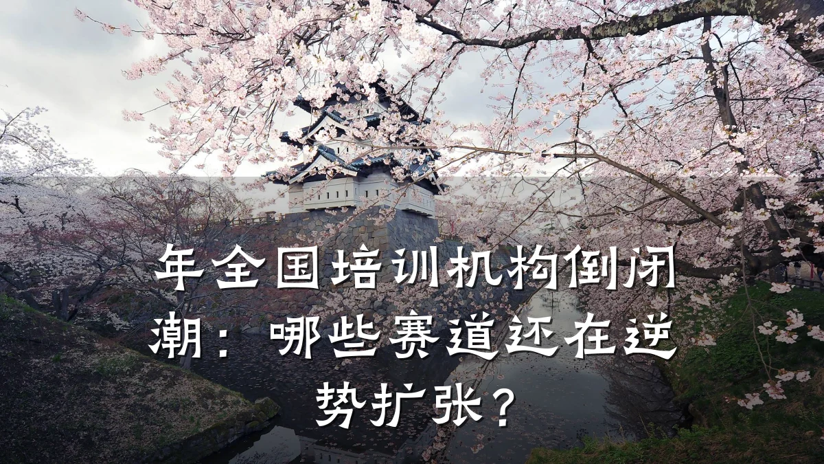 年全国培训机构倒闭潮:哪些赛道还在逆势扩张?
