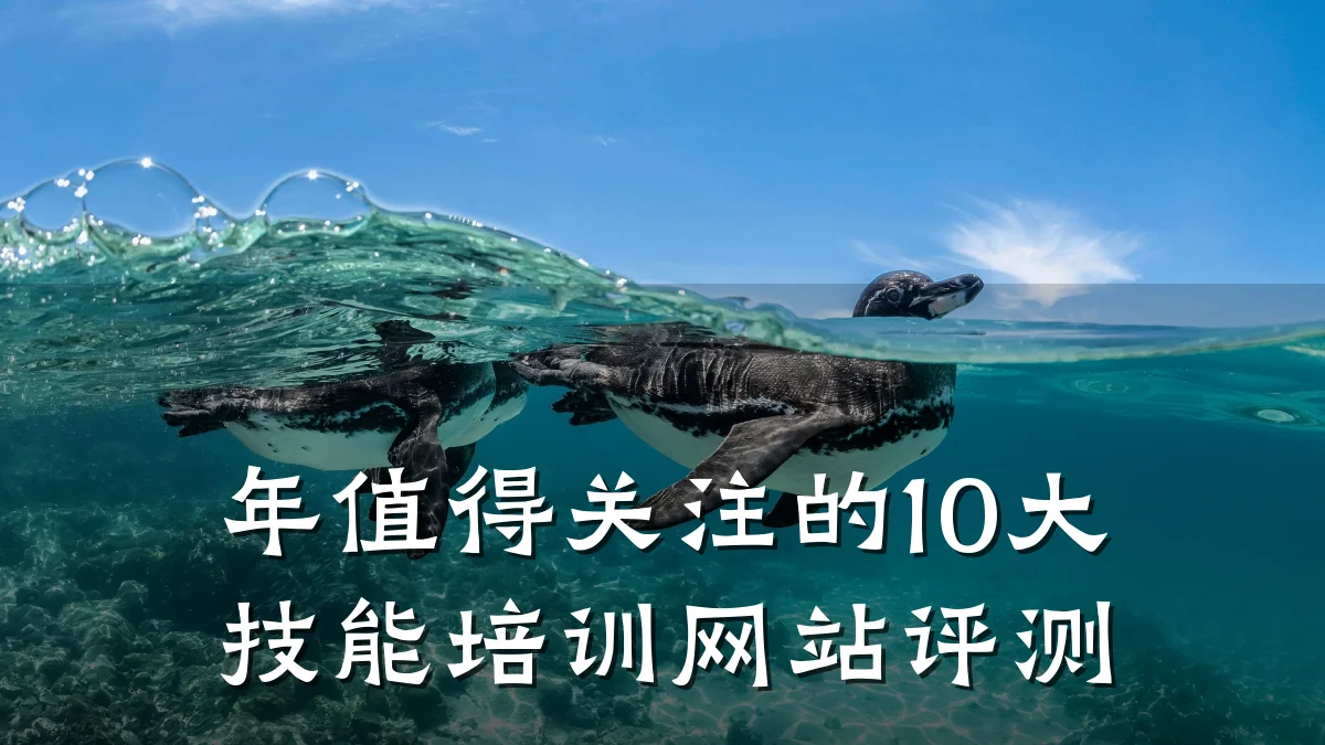 年值得关注的10大技能培训网站评测