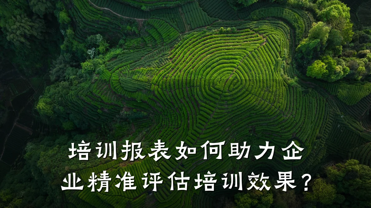 培训报表如何助力企业精准评估培训效果?