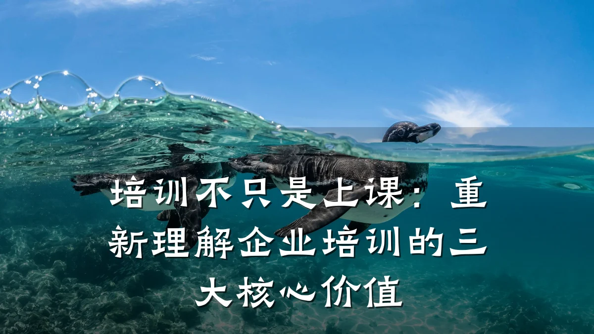 培训不只是上课:重新理解企业培训的三大核心价值