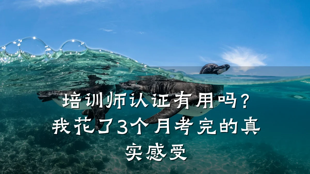 培训师认证有用吗?我花了3个月考完的真实感受