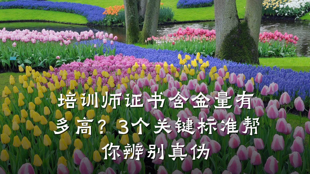 培训师证书含金量有多高?3个关键标准帮你辨别真伪