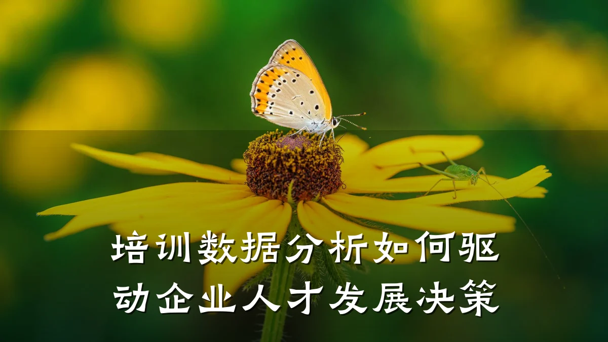 培训数据分析如何驱动企业人才发展决策