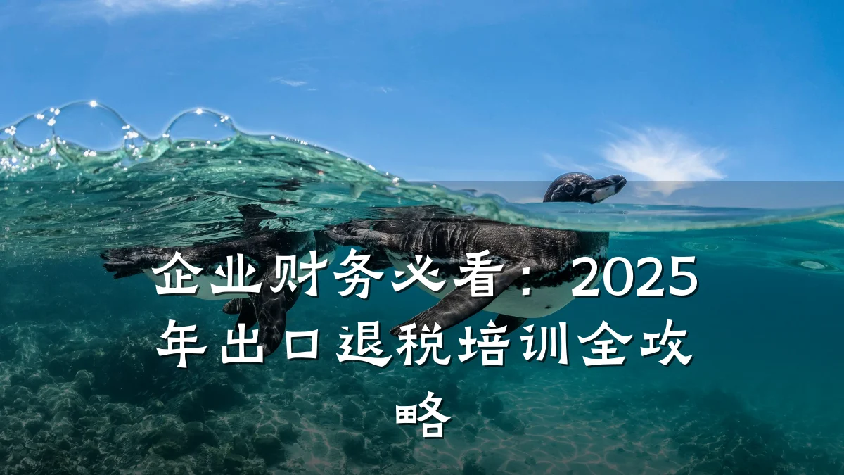 企业财务必看:2025年出口退税培训全攻略