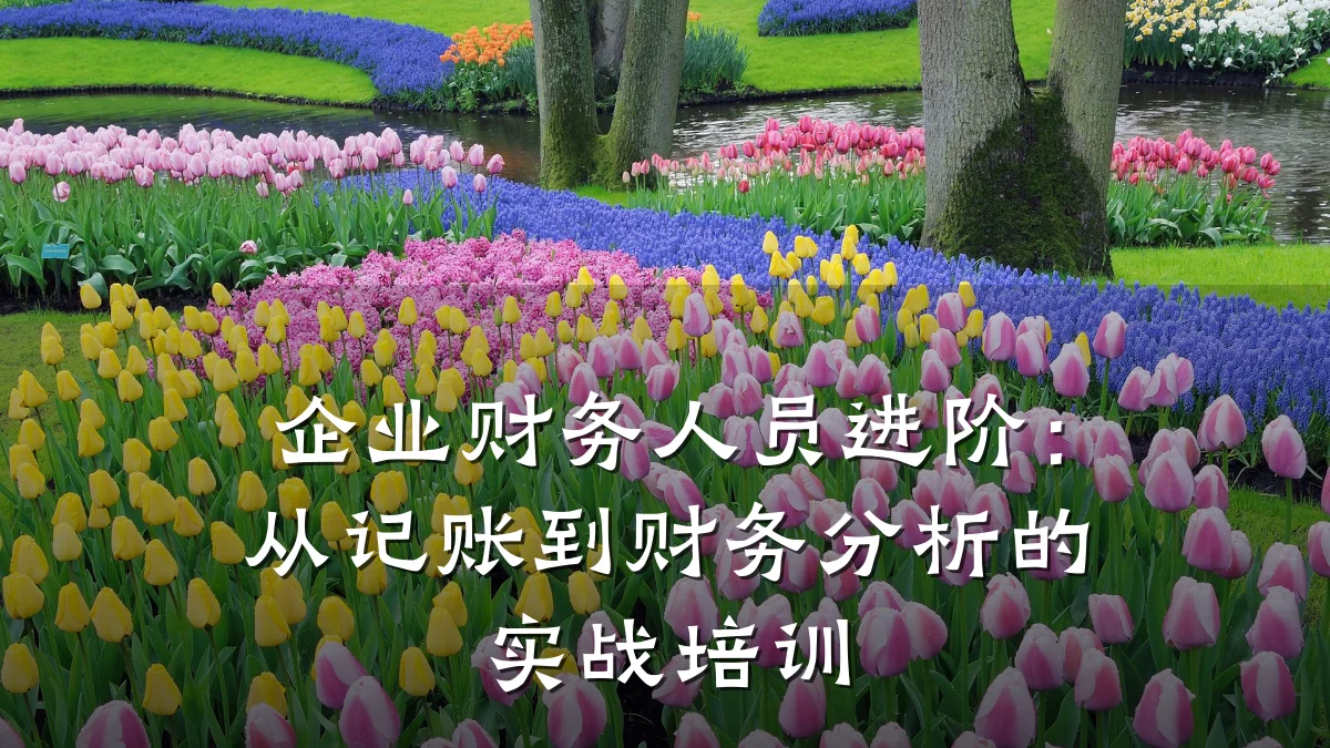 企业财务人员进阶:从记账到财务分析的实战培训