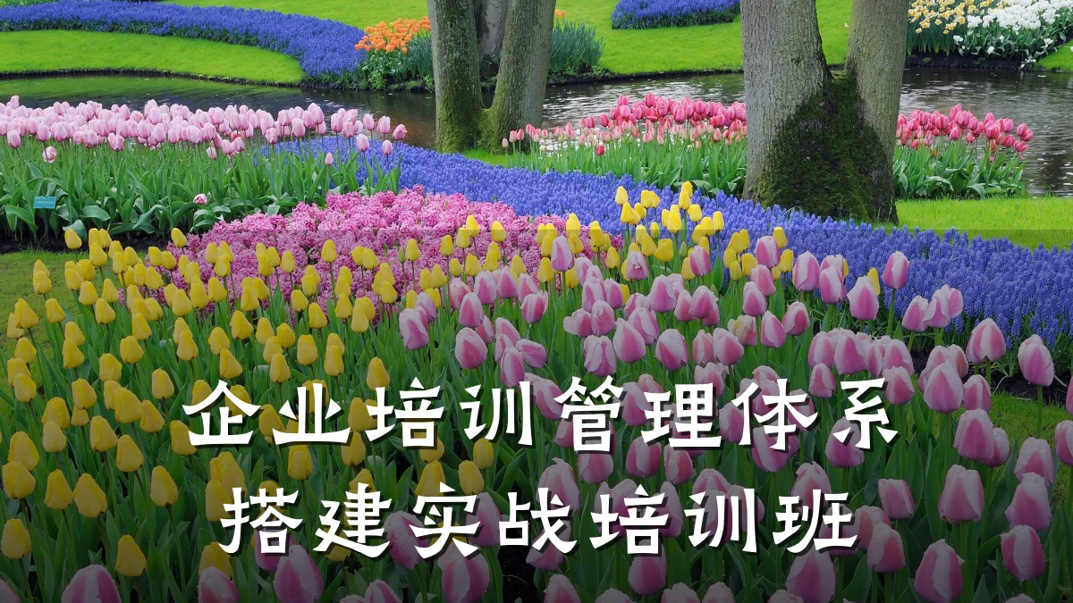 企业培训管理体系搭建实战培训班