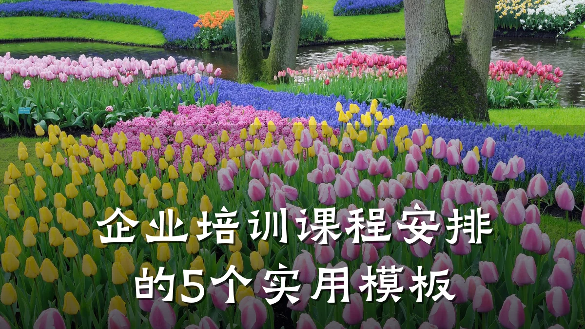 企业培训课程安排的5个实用模板