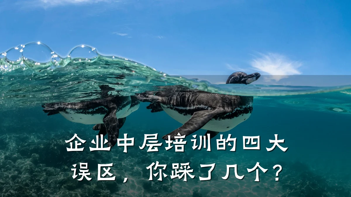 企业中层培训的四大误区,你踩了几个?