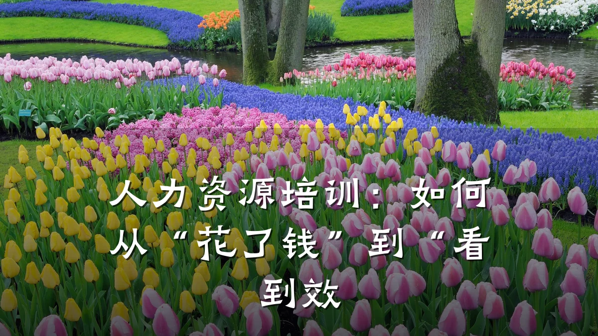 人力资源培训：如何从“花了钱”到“看到效