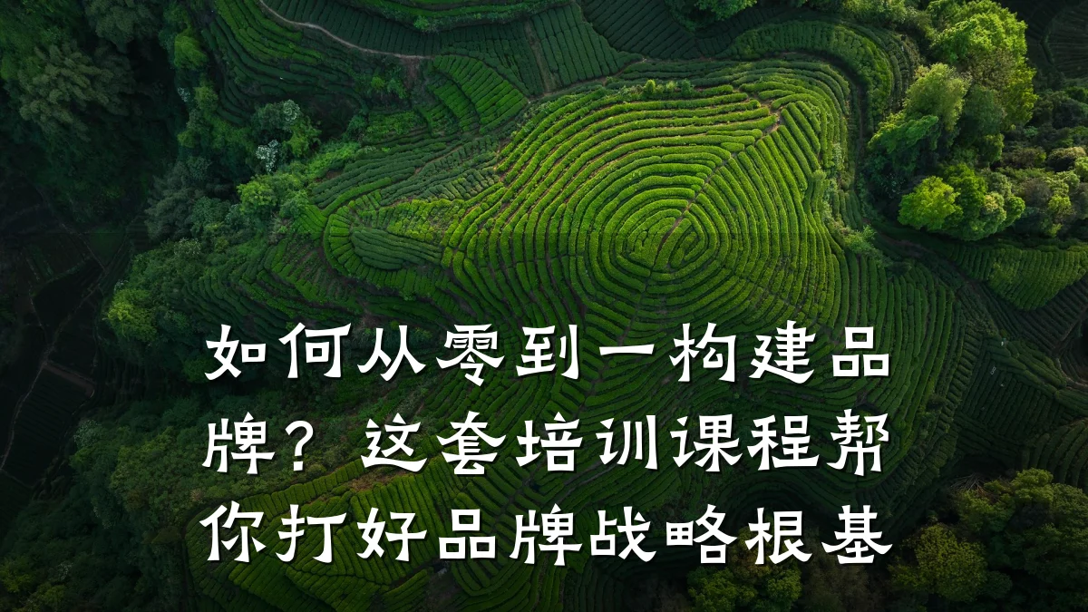 如何从零到一构建品牌?这套培训课程帮你打好品牌战略根基