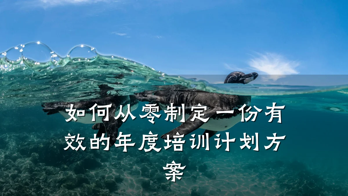 如何从零制定一份有效的年度培训计划方案