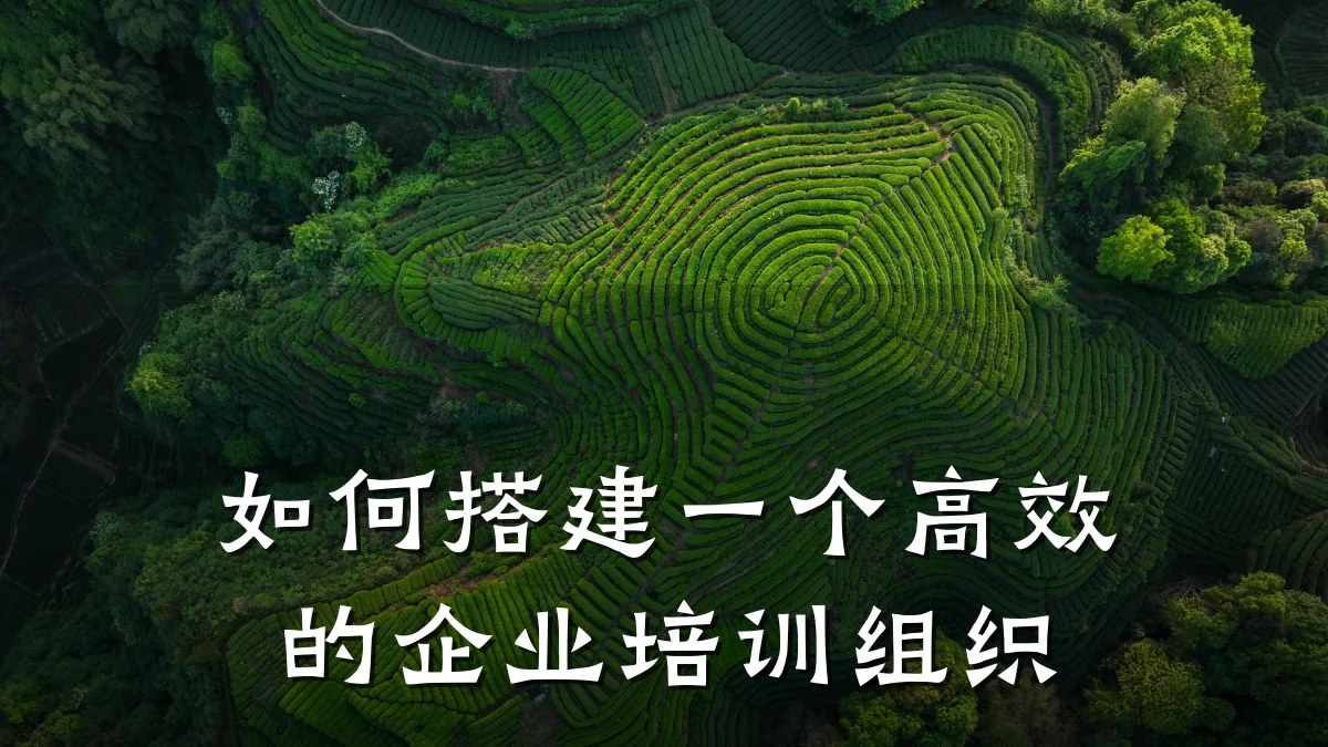 如何搭建一个高效的企业培训组织
