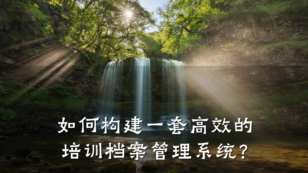 如何构建一套高效的培训档案管理系统?