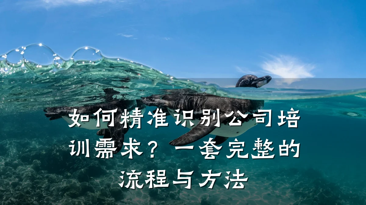 如何精准识别公司培训需求?一套完整的流程与方法