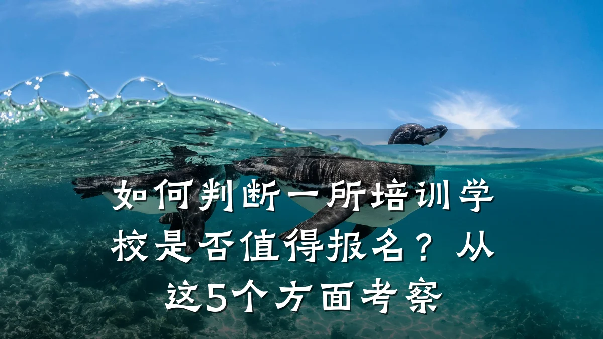 如何判断一所培训学校是否值得报名?从这5个方面考察