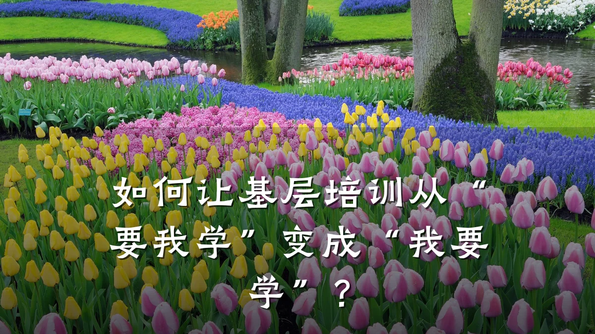 如何让基层培训从“要我学”变成“我要学”?