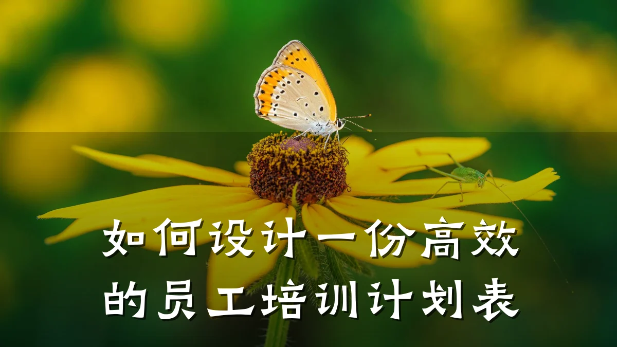 如何设计一份高效的员工培训计划表