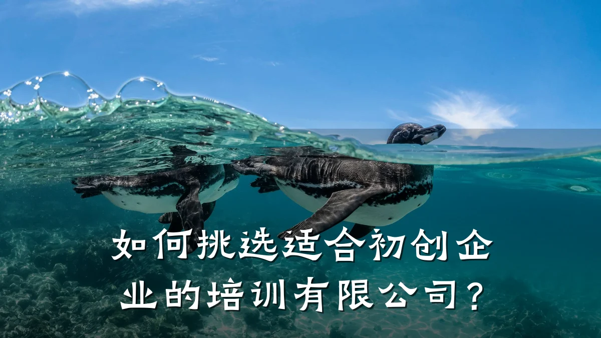 如何挑选适合初创企业的培训有限公司?